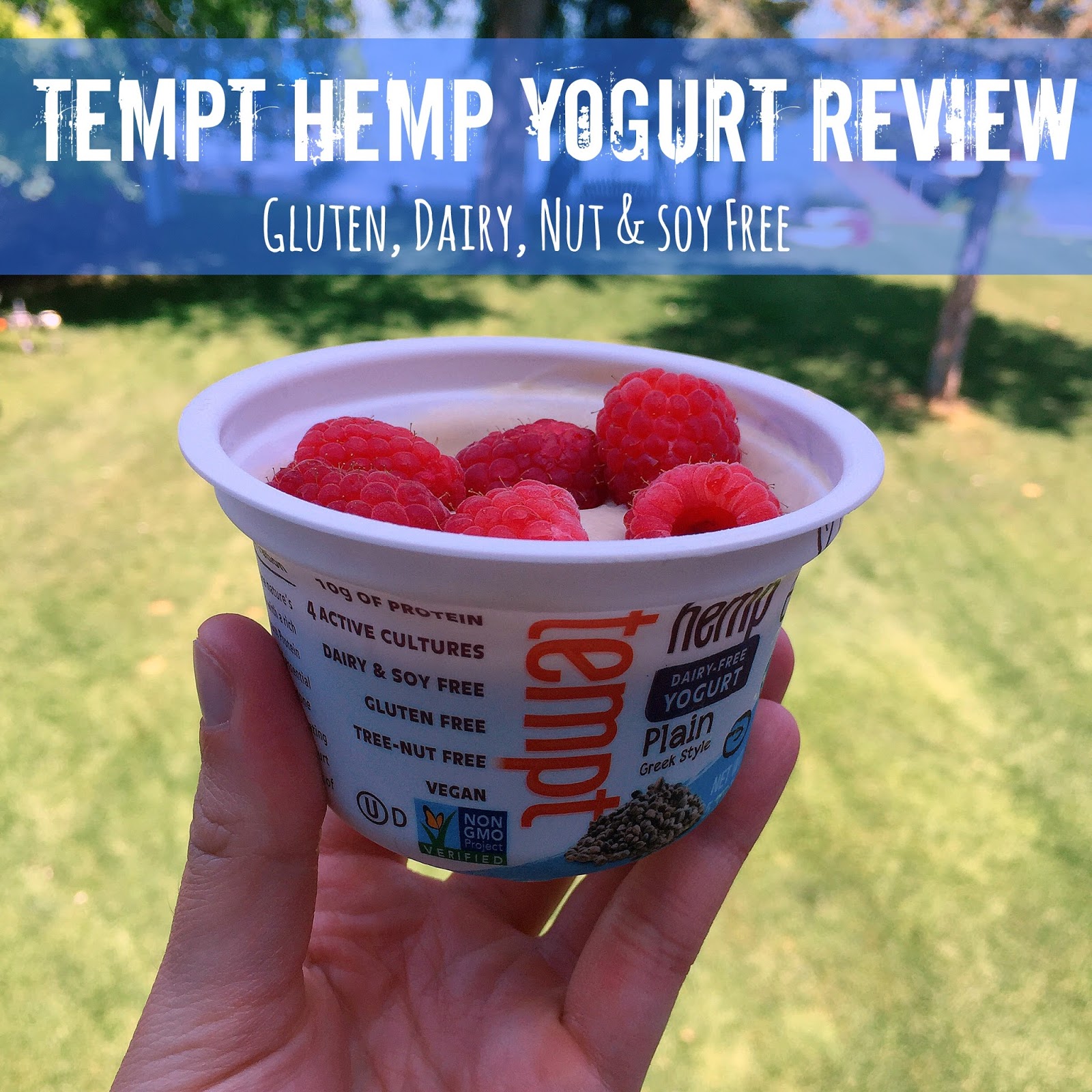 The Simple Life Tempt Hemp Yogurt Review
