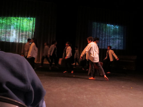 Interlochen comparative arts