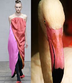 WEIRD NEWS: Fashion inspired by animals and insects