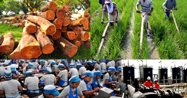  Kegiatan  ekonomi di Indonesia memanfaatan sumber  daya  alam 