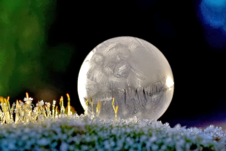 Spectacular Photos of Bubbles Frozen in Frigid Temperatures Spectacular Photos of Bubbles Frozen in Frigid Temperatures