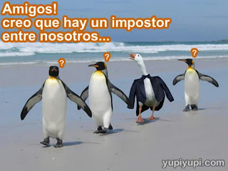 Imagenes de animales tiernas y chistosas