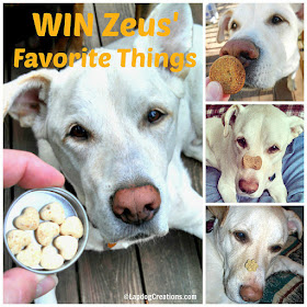 Win Some of Zeus' Favorite Things In Honor of What Would Have Been His 15th Birthday! #dogtreats #dogtoys #CelebrateLife #InHonorofZeus #doggiveaway #Chewy #LapdogCreations #dogbirthday ©LapdogCreations