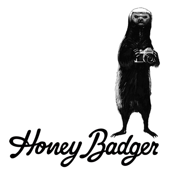 honey badger clipart - photo #33
