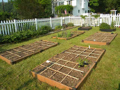 Pam's English Cottage Garden: My Experiment With Square-Foot Gardening