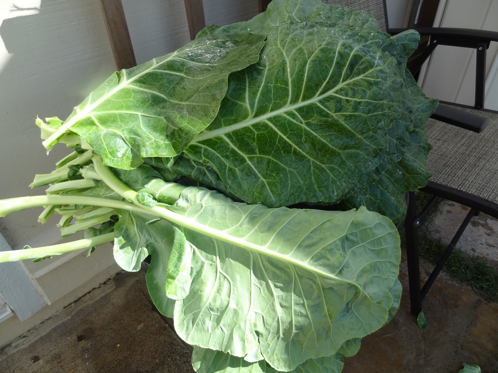 HI Recipe Tweaker Collard Green Fried Rice