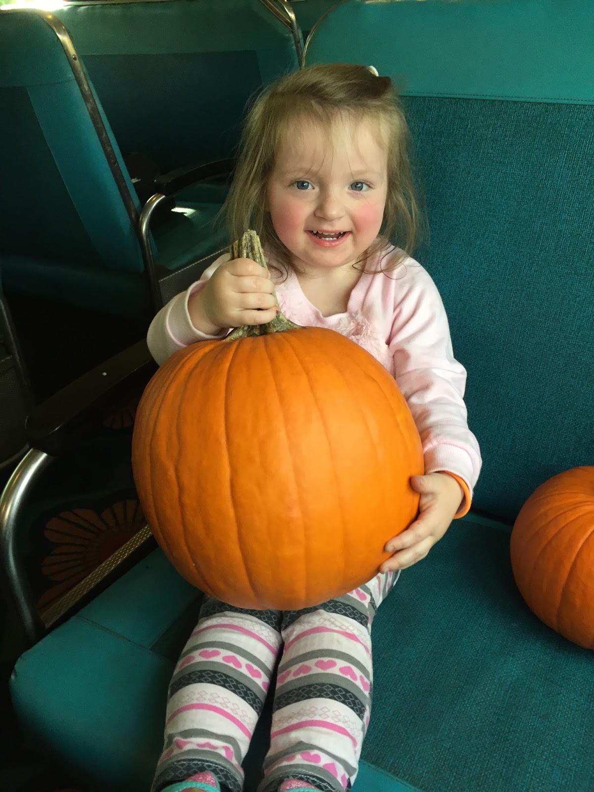 A Journey into the Past: Delaware River Pumpkin Train Trip