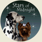Stars of Midnight Kennel - Dálmatas e Yorks