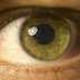 Científicos han creado un implante de retina artificial que podría restaurar la visión a millones