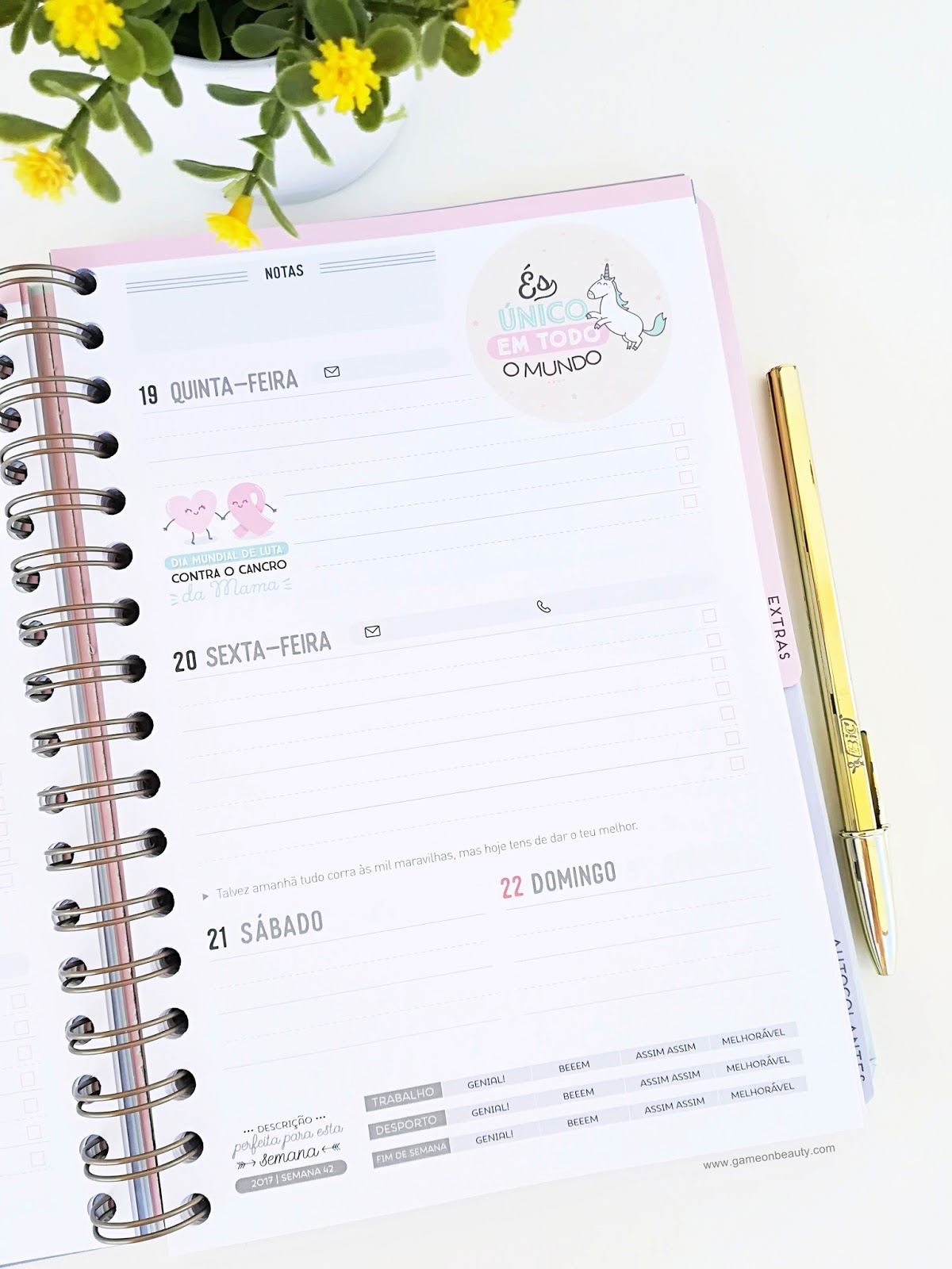 Agenda Mr. Wonderful Agenda Mr. Wonderful- Game on, Beauty!