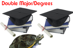 should i double major