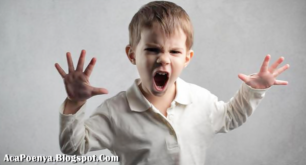 Menghadapi Anak Yang Mulai Membangkang Menghadapi Anak Yang Mulai Membangkang