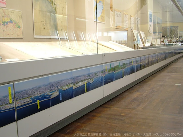 メロドラマ「レイス」はいつ終わりますか?