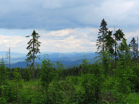 Panorama ze stoków Murania. Panorama ze stoków Murania.
