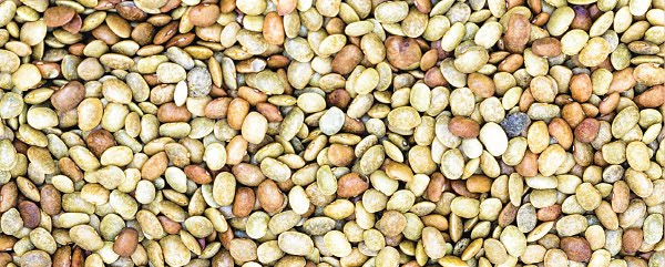 ஊளைச் சதை குறைக்கும் கொள்ளு! ஊளைச் சதை குறைக்கும் கொள்ளு!