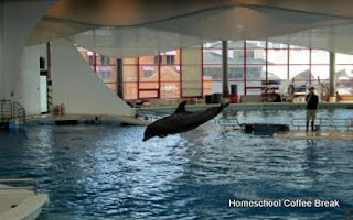 National Aquarium PhotoJournal (From the High School Lesson Book) on Homeschool Coffee Break @ kympossibleblog.blogspot.com