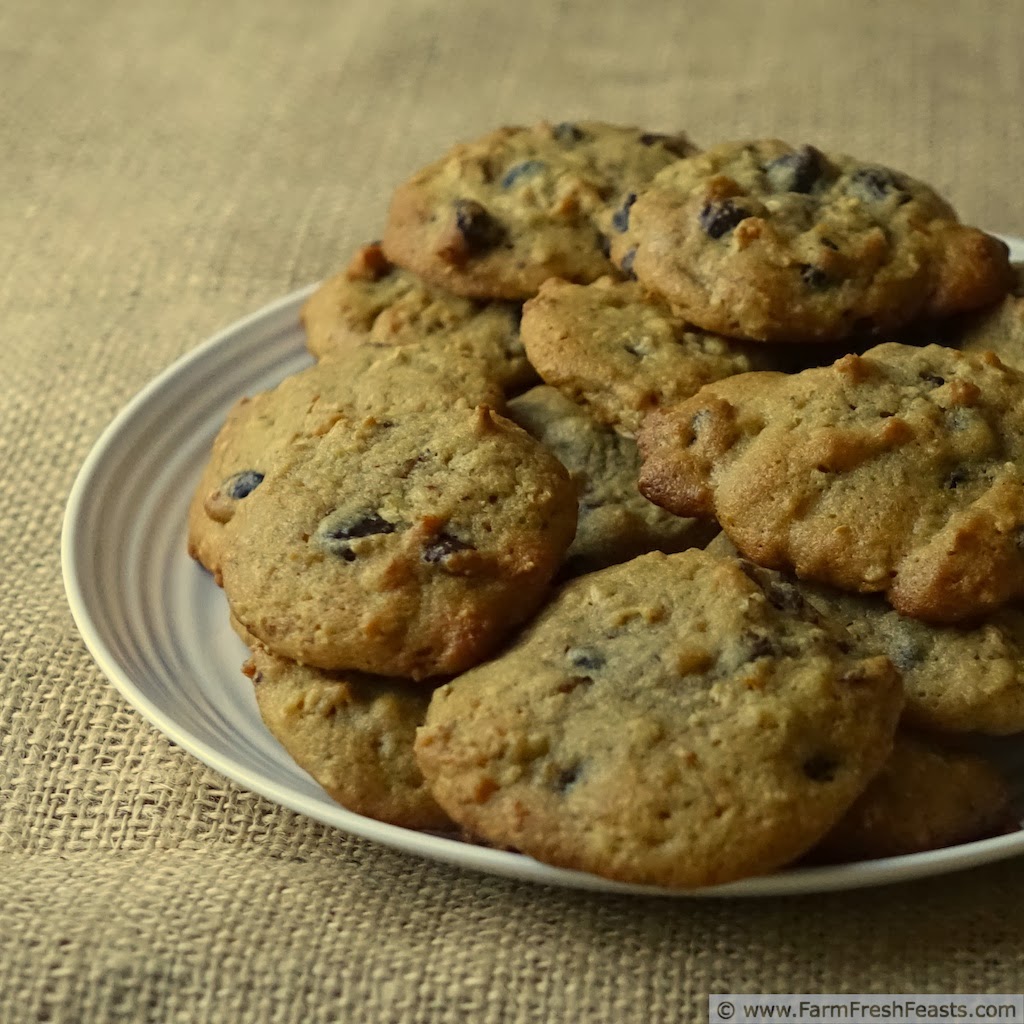 Farm Fresh Feasts Orange Oatmeal Secret Ingredient Chocolate Chip Cookies