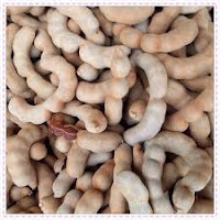 Asam Jawa http://manfaatnyasehat.blogspot.com/2016/03/manfaat-asam-jawa-untuk-kesehatan.html