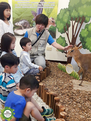標本特展解說