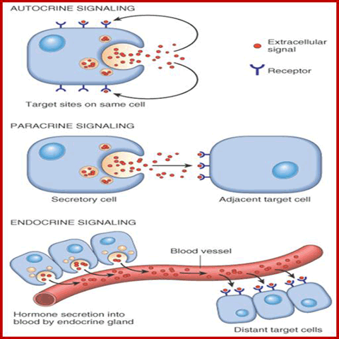 Biomedicine blog
