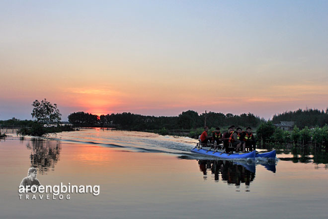 pekalongan mangrove park