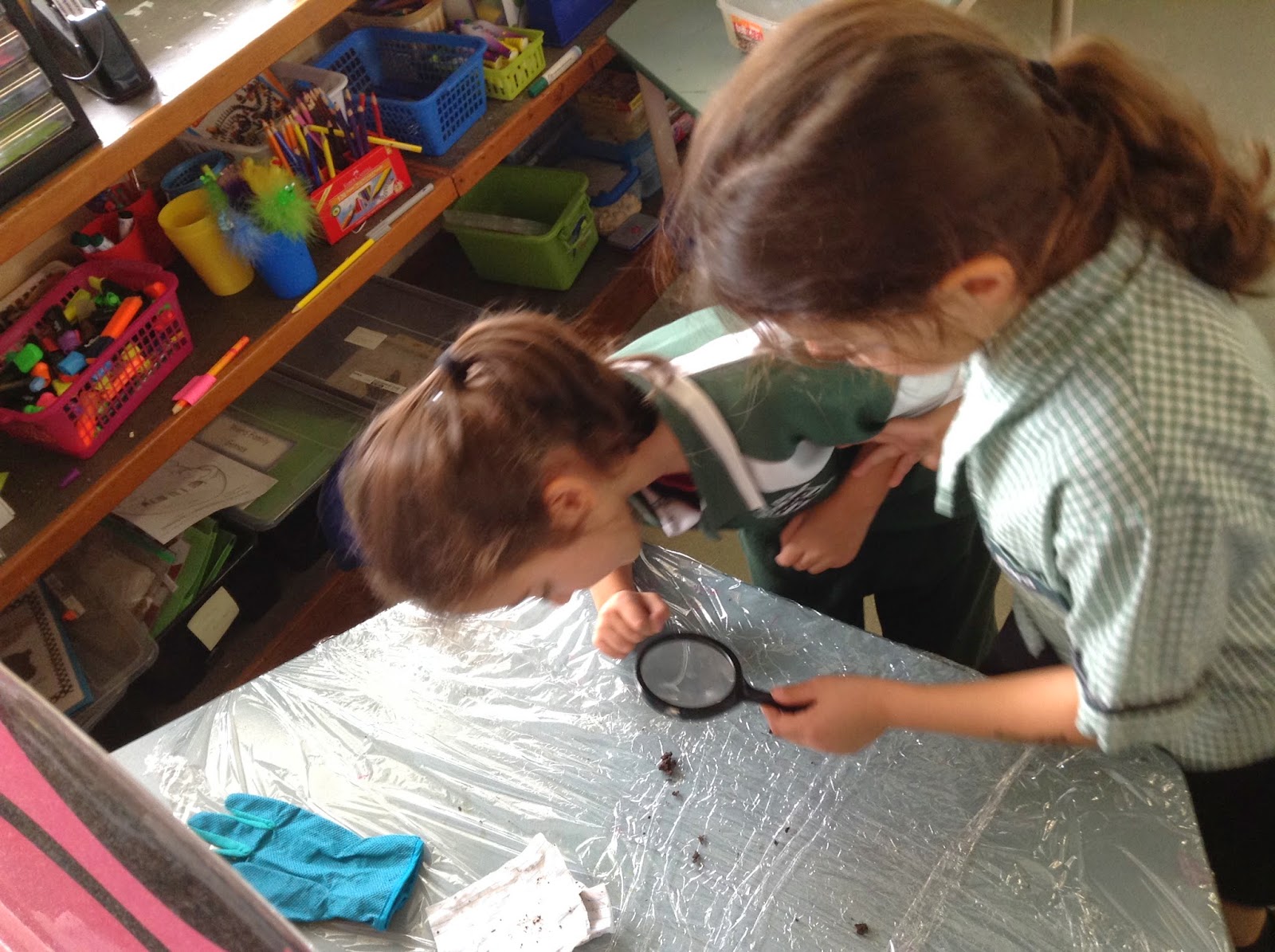 Wonderful 1B 2014: Science