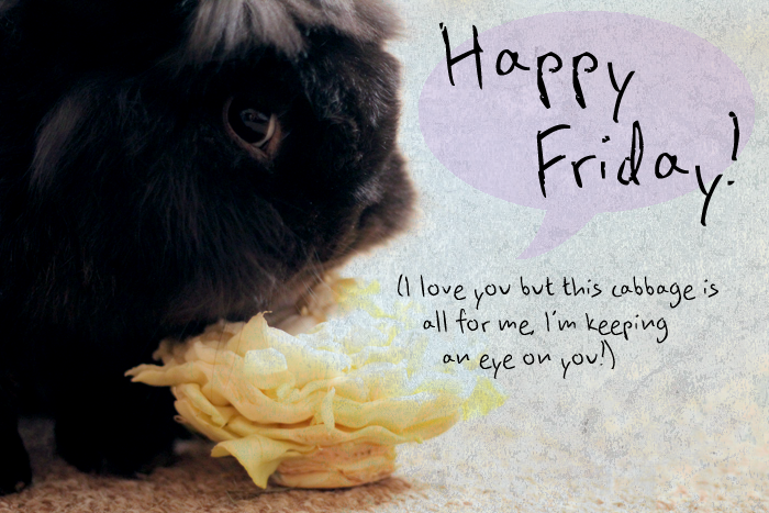 Happy Friday, Love Ralphie! 