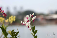 taman kota ria rio jakarta