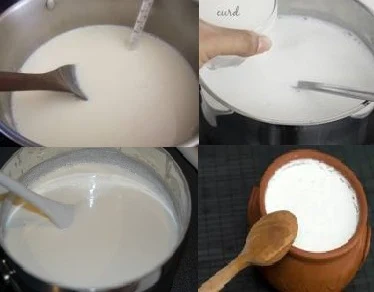 cook-the-milk-for-making-yogurt