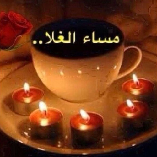 صور مساء الخير