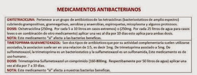 TABLA RÁPIDA DE DIAGNÓSTICO DE ENFERMEDADES EN LOS PECES DE ACUARIOS TABLA RÁPIDA DE DIAGNÓSTICO DE ENFERMEDADES EN LOS PECES DE ACUARIOS