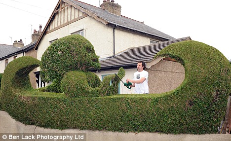 Interior Design Advice: Know More About The Best Plants That Can Be