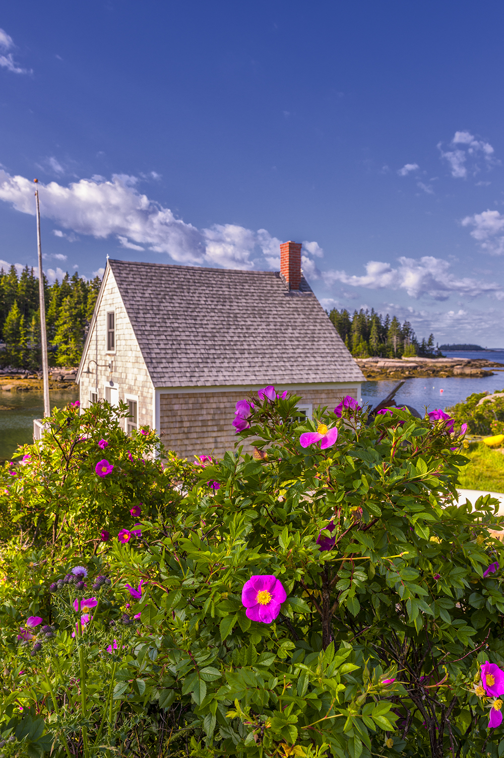 photo quest Time spent in Deer Isle, Maine