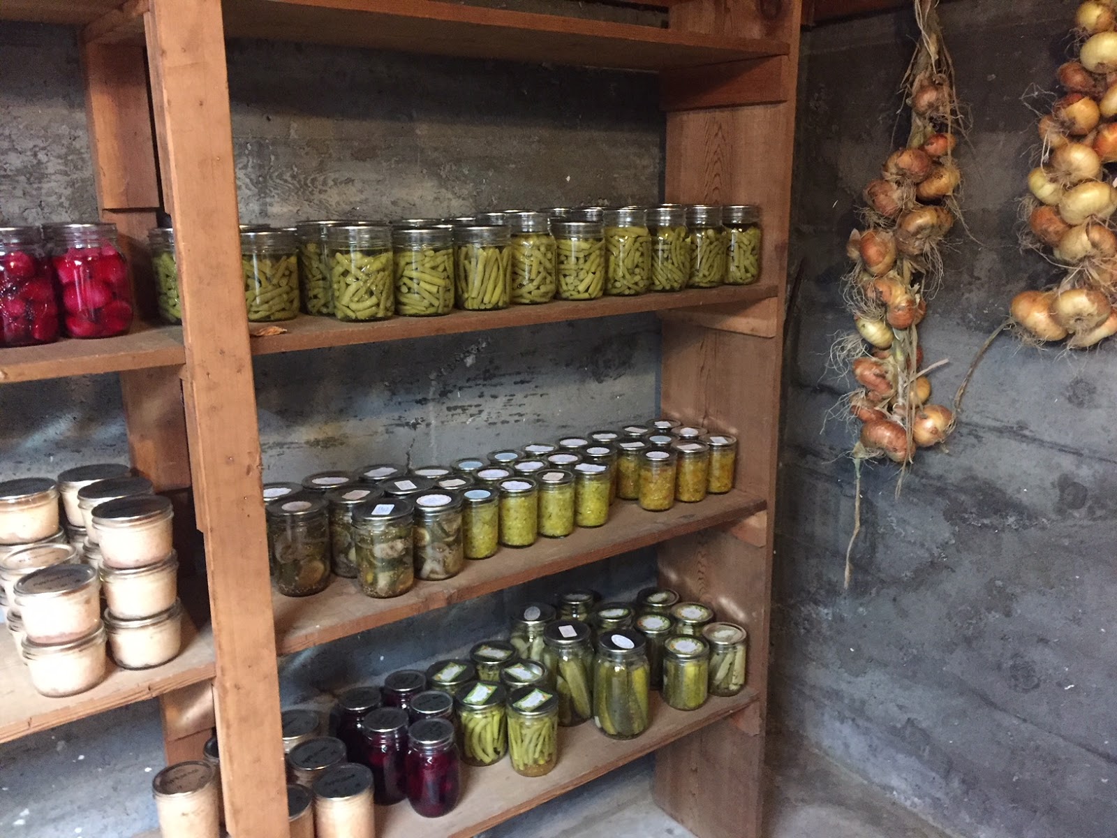 Curing and Braiding Onions for Storage