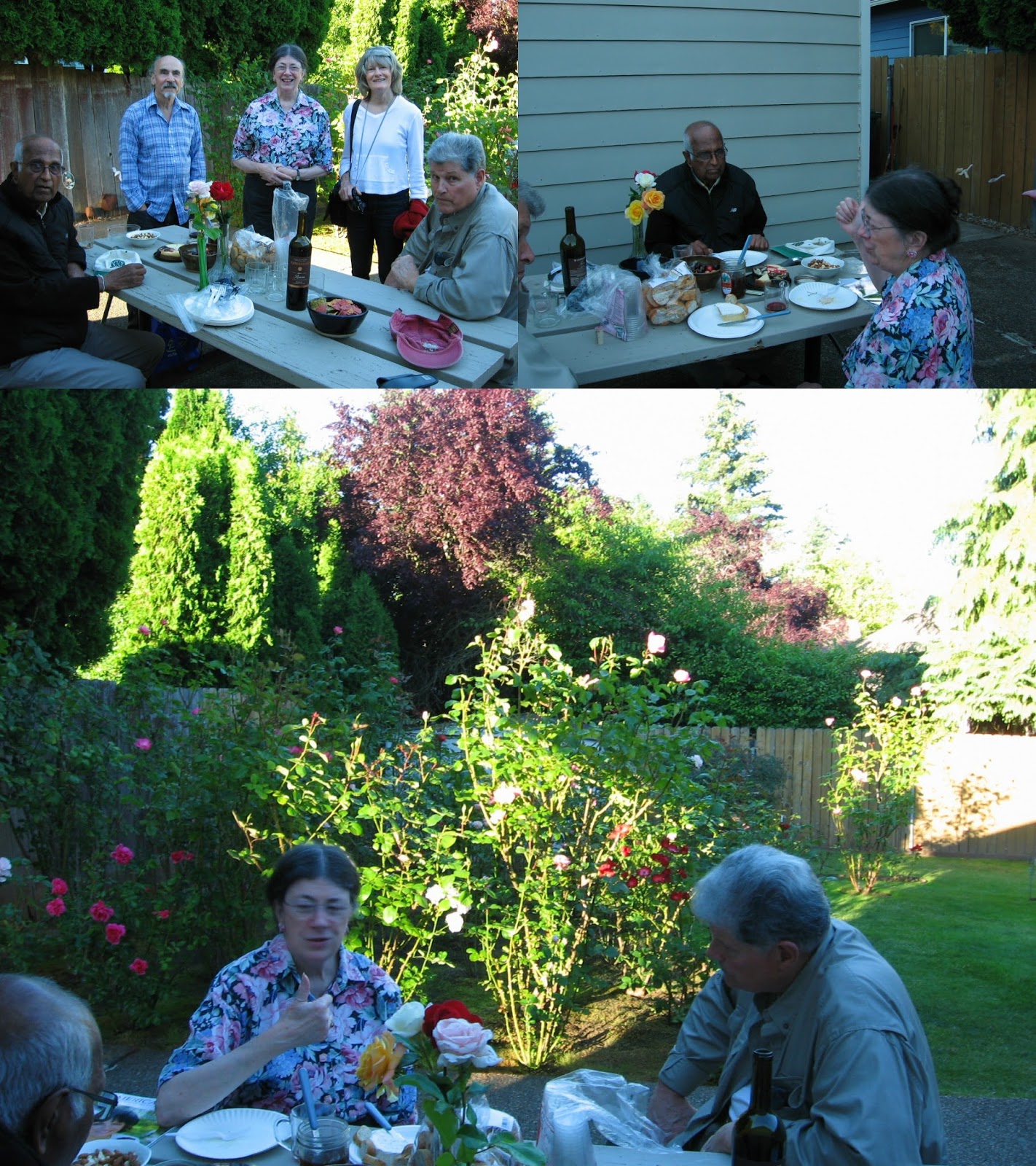 Salem Rose Society, Oregon, USA August 2017