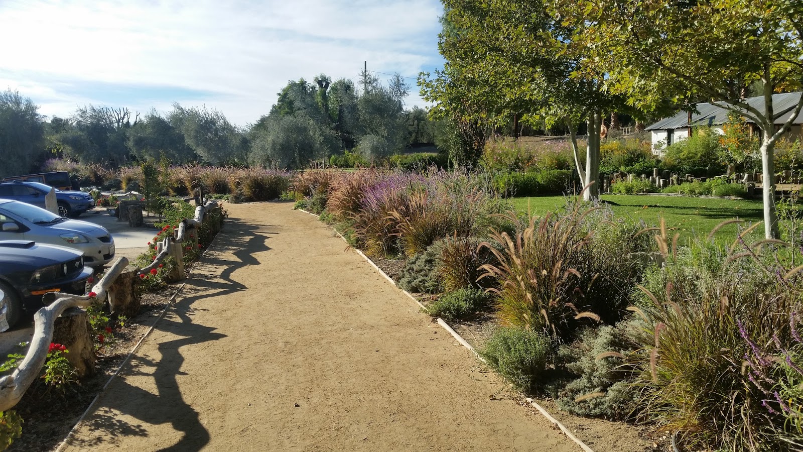 What's Up at the Southern California Nature Guardians Temecula Olive Oil Ranch