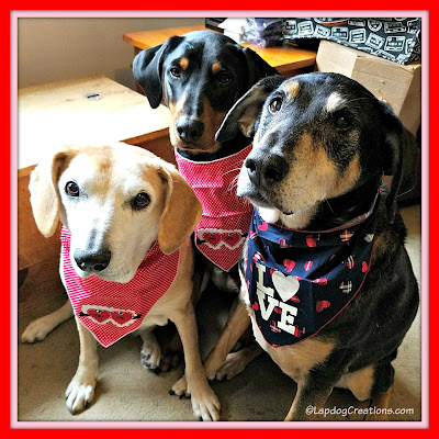 valentines day dog rescue bandanas puppy
