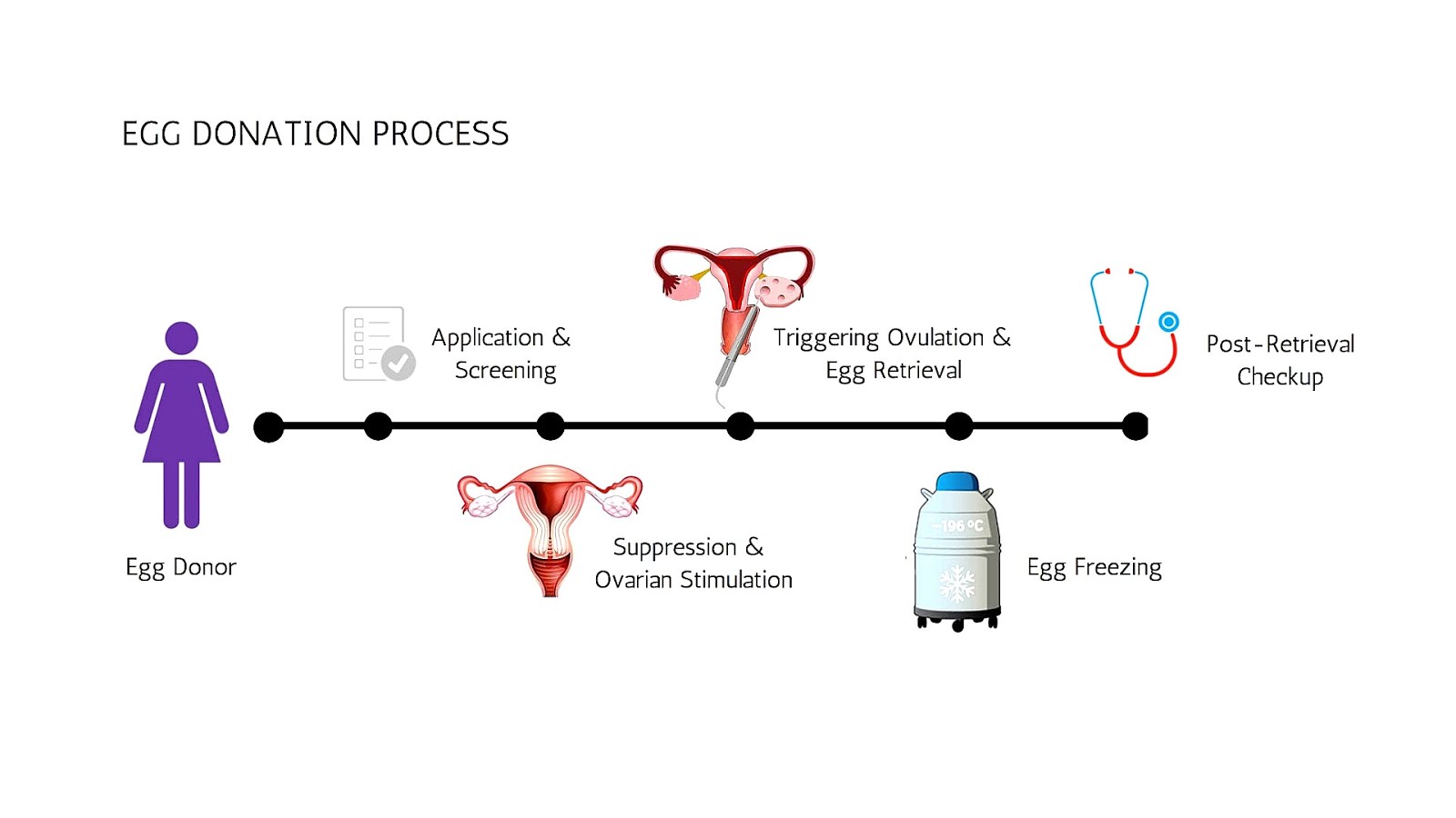 Egg Donation Side Effects Effect Choices