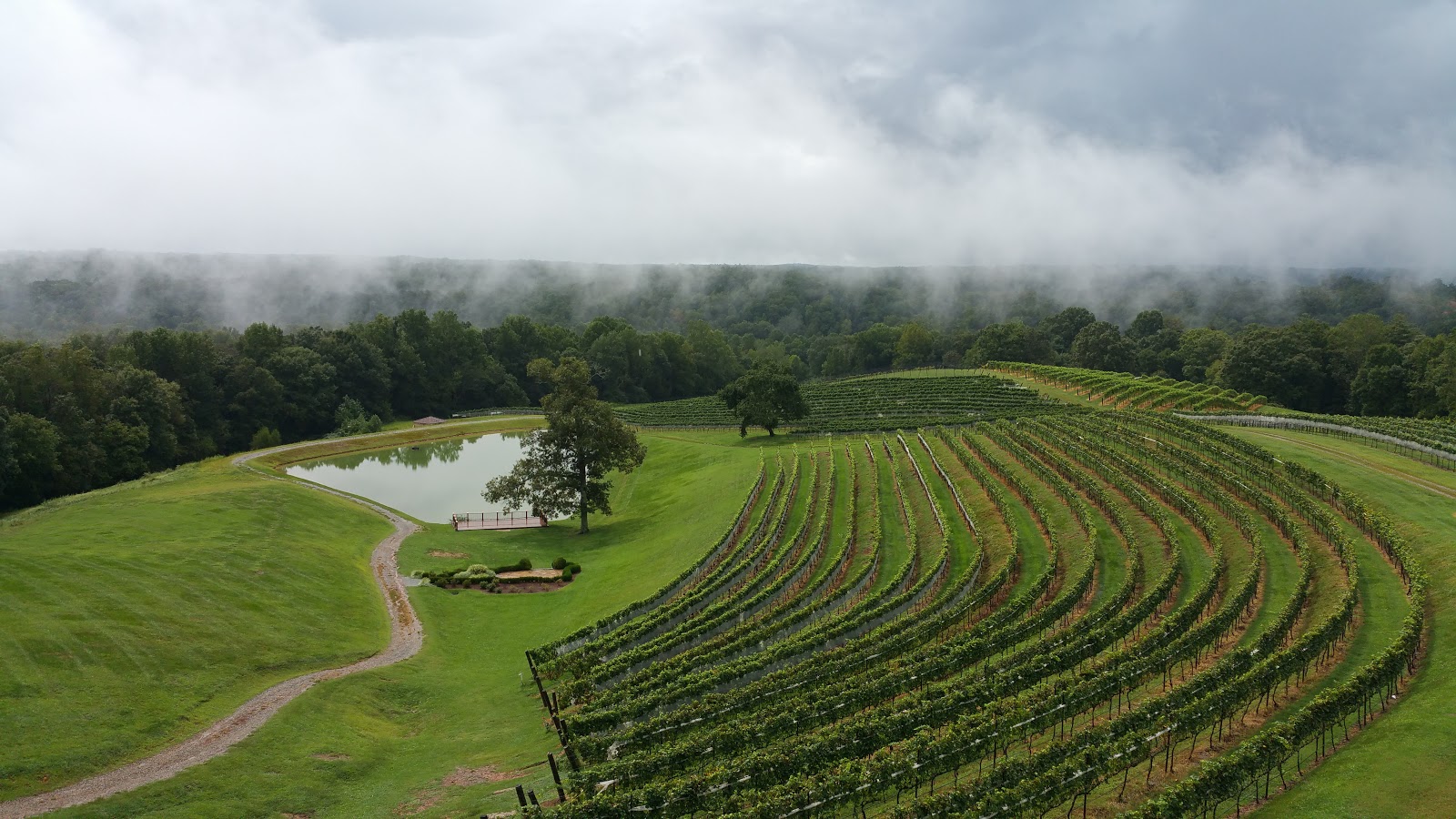 Lake Sidney Lanier Homes Blog Montaluce Vineyards & Le Vigne