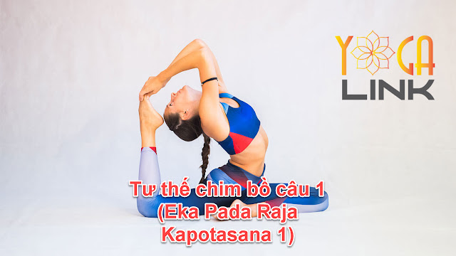 Mỗi ngày một tư thế Yoga || 56 Tư thế chim bồ câu 1 Mỗi ngày một tư thế Yoga || 56 Tư thế chim bồ câu 1