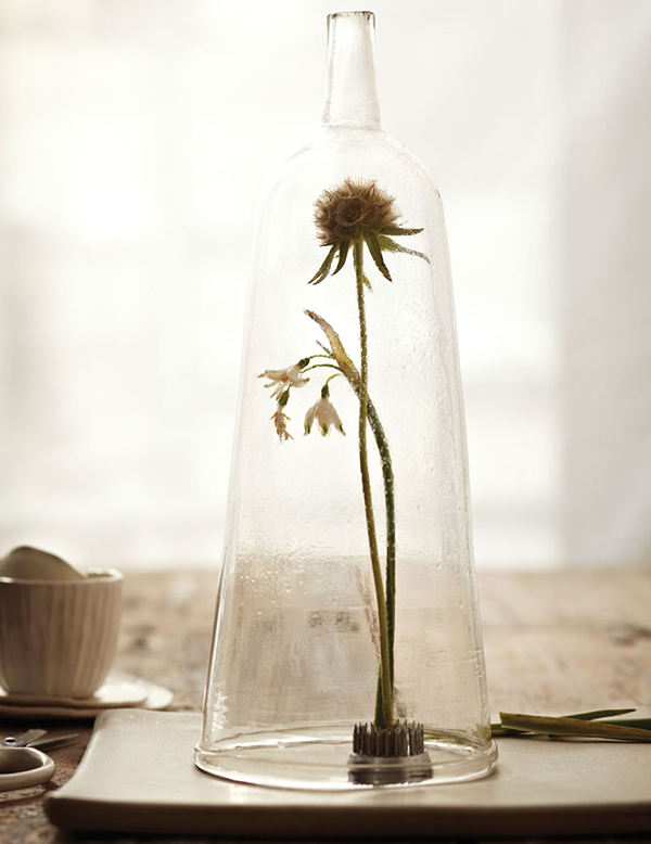 fleur embouteillée.