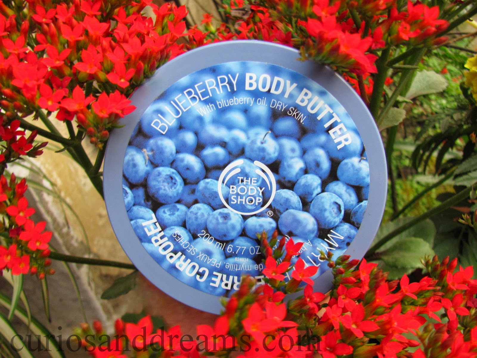 The Body Shop Blueberry Body Butter review, Blueberry Body Butter review