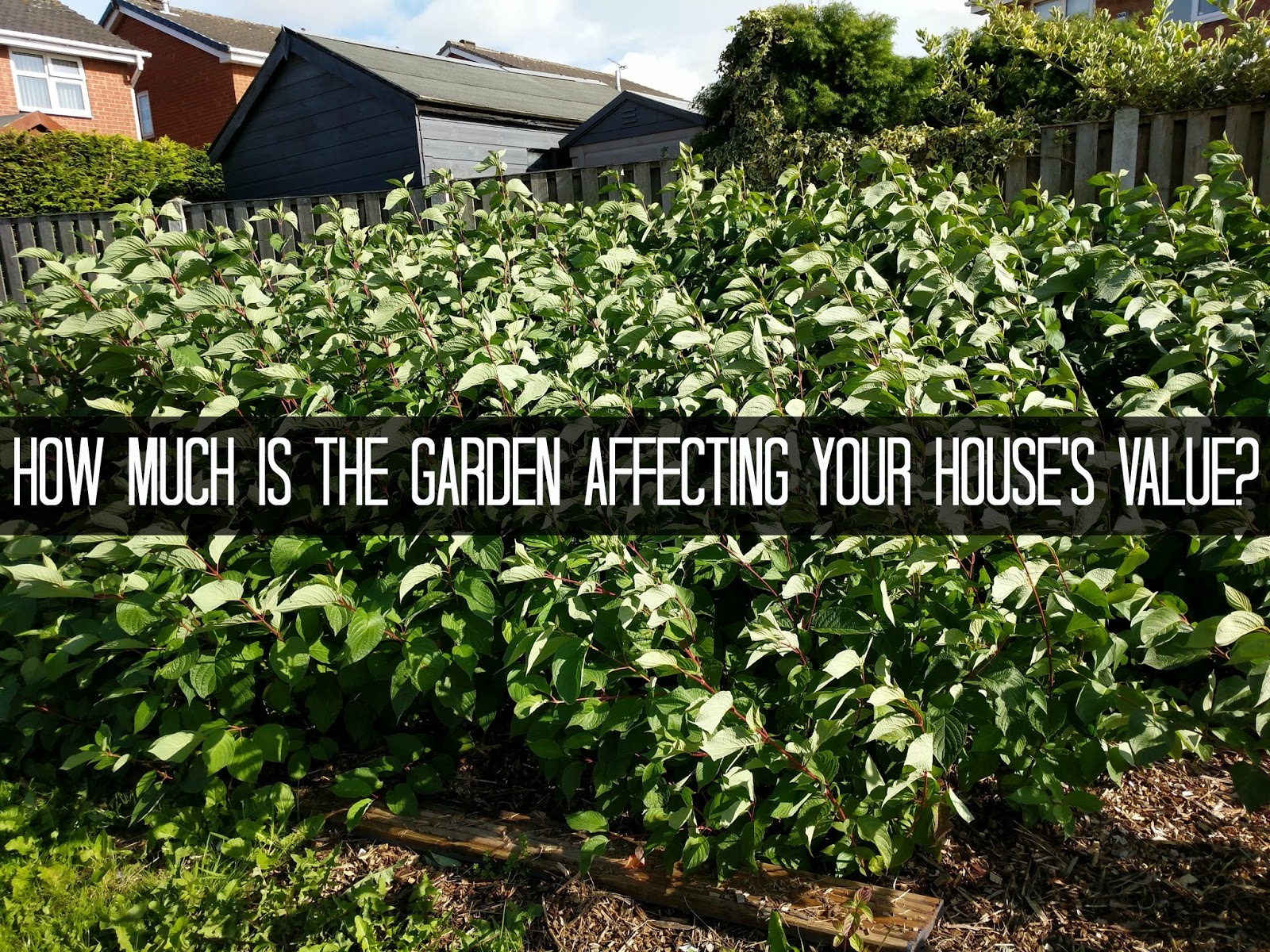 JibberJabberUK Finance Fridays How much is the garden affecting your