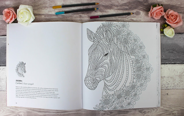 Animals: A Mindful Colouring Book Review