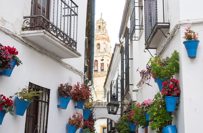 córdoba fotografía spain callejón flores