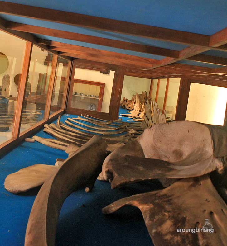 museum kartini jepara