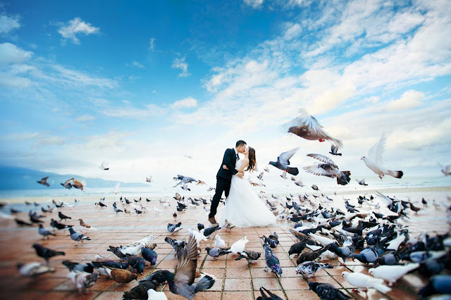 Chụp ảnh với bồ câu tại Đà Nẵng Chup anh voi bo cau tai Da Nang