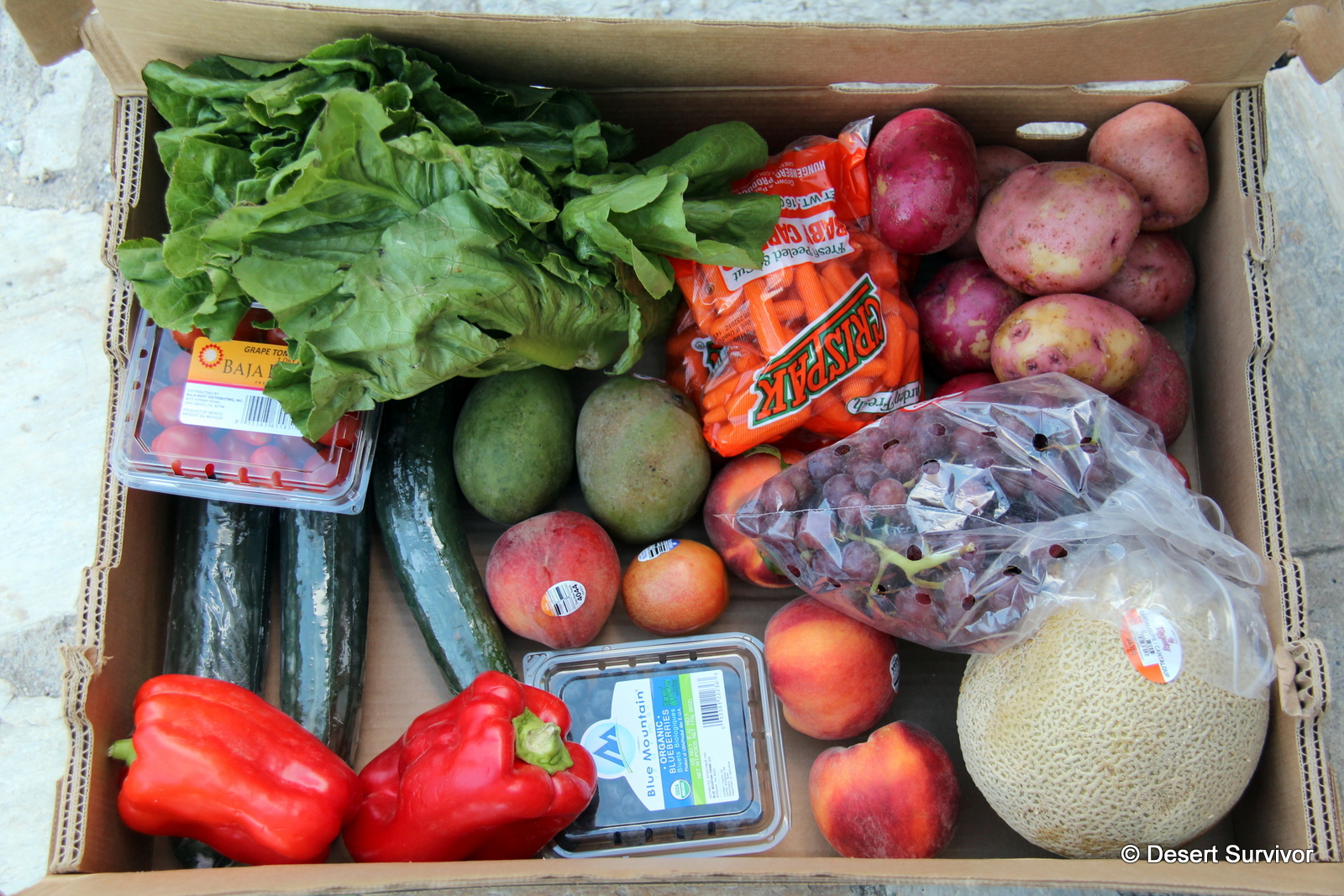 Desert Survivor Bountiful Baskets