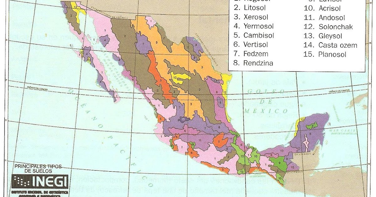 Verde Principales tipos de suelo en México Verde Principales tipos de suelo en México