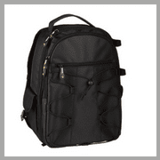 AmazonBasics Large DSLR Gadget Bag